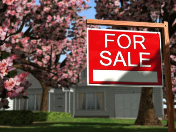 Co- buying a Real Estate