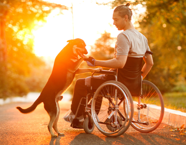 Total and Permanent Disability Insurance
