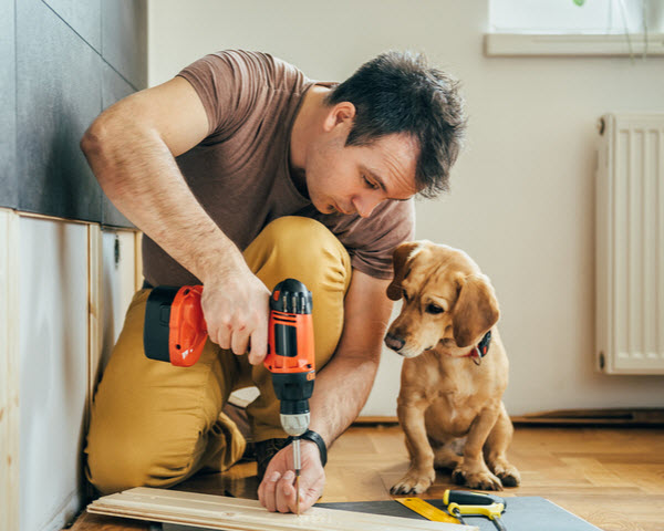 Man doing renovation work at home together with his small yellow dog