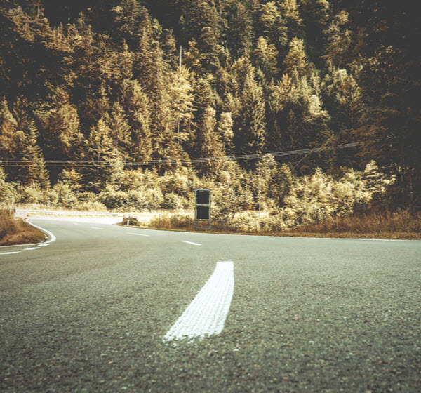 Trees and road