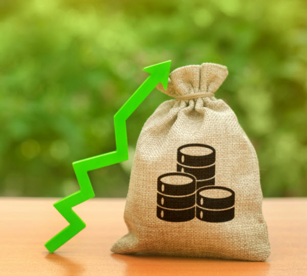 Step Up Group - How to strengthen portfolio Money bag and a green arrow up